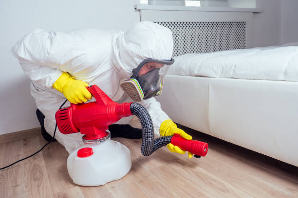 Best Fumigation Services  in Bayonne, NJ